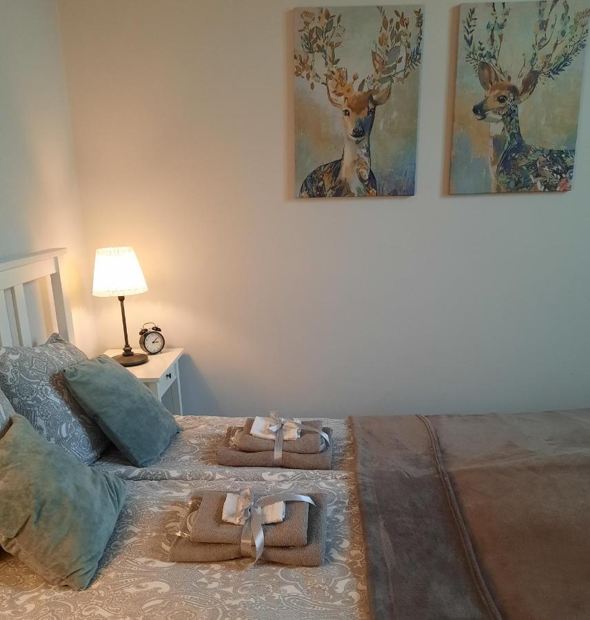Apartamenty Bydgostia 비드고슈치 외부 사진