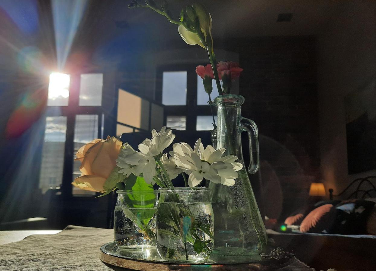 Apartamenty Bydgostia 비드고슈치 외부 사진